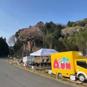 幸田町六栗西山(桜を見る会) 